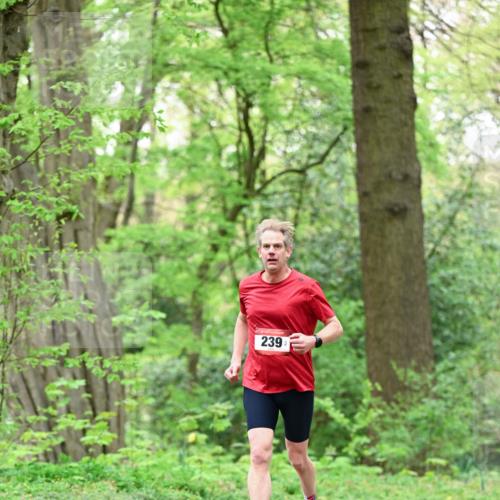 19.04.2026 - Hammer Lauf Dr. Thomas Lammeyer http://msf.ph/oto/9551185 19.04.2026 11:57:39 Laufen 239 meine-sportfotos.de