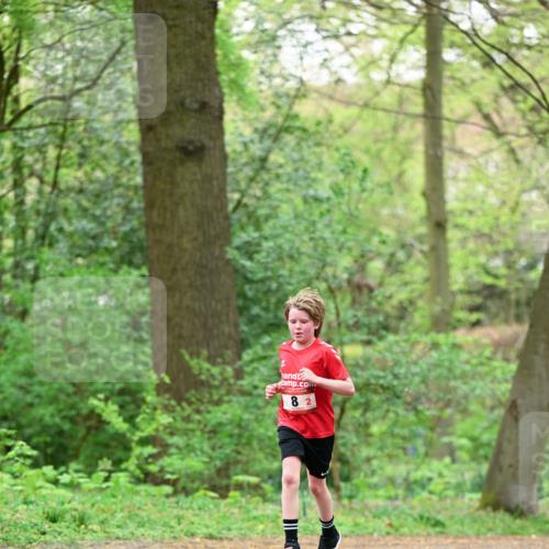 19.04.2026 - Hammer Lauf Dr. Thomas Lammeyer http://msf.ph/oto/9551192 19.04.2026 11:57:48 Laufen  meine-sportfotos.de