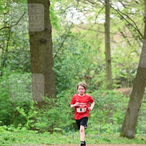 19.04.2026 - Hammer Lauf Dr. Thomas Lammeyer http://msf.ph/oto/9551194 19.04.2026 11:57:48 Laufen  meine-sportfotos.de
