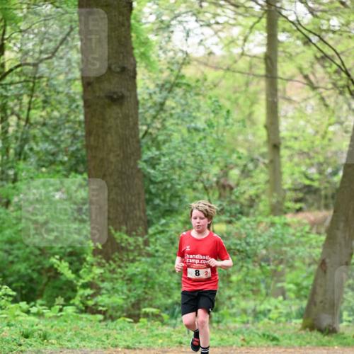 19.04.2026 - Hammer Lauf Dr. Thomas Lammeyer http://msf.ph/oto/9551195 19.04.2026 11:57:48 Laufen  meine-sportfotos.de