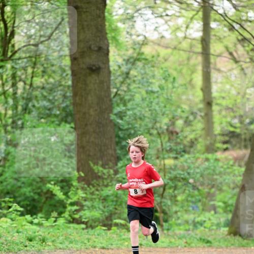19.04.2026 - Hammer Lauf Dr. Thomas Lammeyer http://msf.ph/oto/9551196 19.04.2026 11:57:49 Laufen  meine-sportfotos.de
