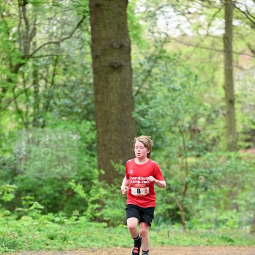 19.04.2026 - Hammer Lauf Dr. Thomas Lammeyer http://msf.ph/oto/9551199 19.04.2026 11:57:49 Laufen  meine-sportfotos.de