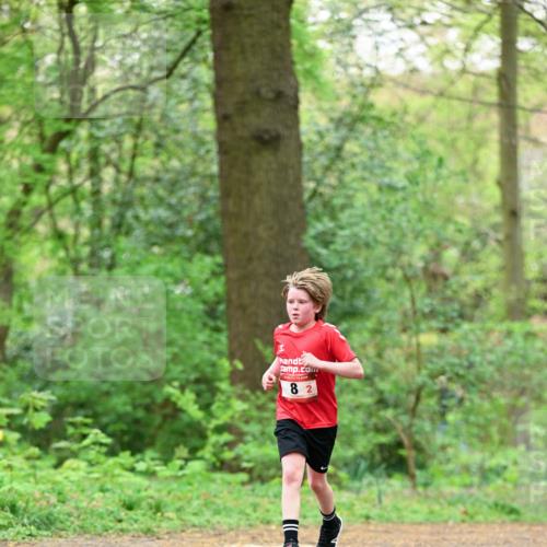 19.04.2026 - Hammer Lauf Dr. Thomas Lammeyer http://msf.ph/oto/9551200 19.04.2026 11:57:49 Laufen  meine-sportfotos.de