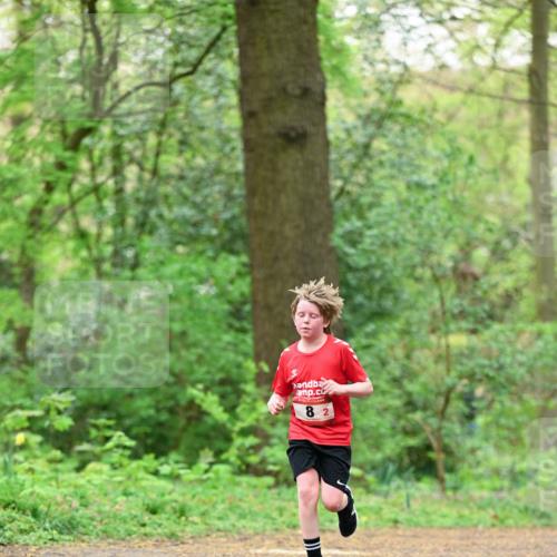19.04.2026 - Hammer Lauf Dr. Thomas Lammeyer http://msf.ph/oto/9551202 19.04.2026 11:57:49 Laufen  meine-sportfotos.de
