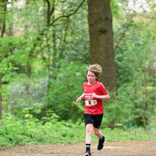 19.04.2026 - Hammer Lauf Dr. Thomas Lammeyer http://msf.ph/oto/9551205 19.04.2026 11:57:50 Laufen  meine-sportfotos.de