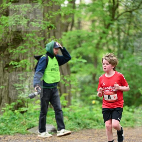 19.04.2026 - Hammer Lauf Dr. Thomas Lammeyer http://msf.ph/oto/9551215 19.04.2026 11:57:51 Laufen  meine-sportfotos.de