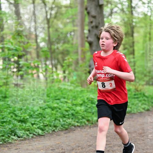 19.04.2026 - Hammer Lauf Dr. Thomas Lammeyer http://msf.ph/oto/9551225 19.04.2026 11:57:55 Laufen  meine-sportfotos.de