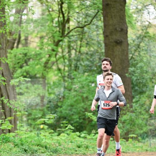 19.04.2026 - Hammer Lauf Dr. Thomas Lammeyer http://msf.ph/oto/9551402 19.04.2026 11:59:24 Laufen 529 meine-sportfotos.de