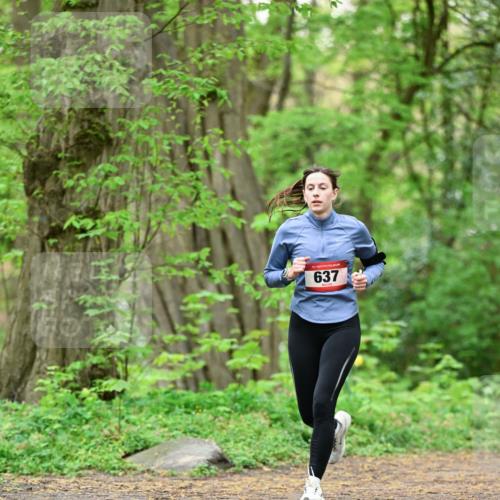 19.04.2026 - Hammer Lauf Dr. Thomas Lammeyer http://msf.ph/oto/9551839 19.04.2026 12:02:44 Laufen 637 meine-sportfotos.de