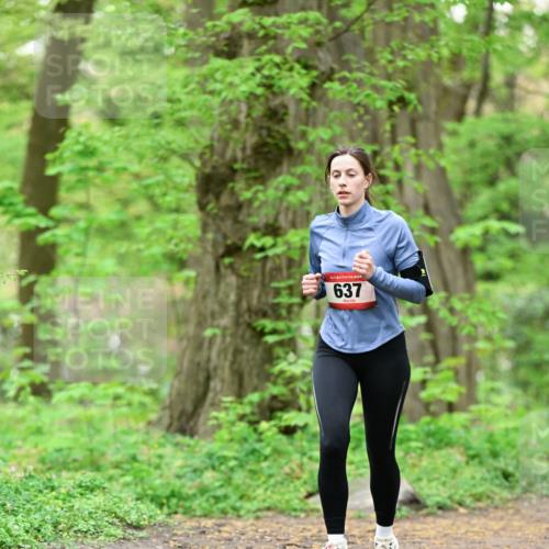 19.04.2026 - Hammer Lauf Dr. Thomas Lammeyer http://msf.ph/oto/9551846 19.04.2026 12:02:45 Laufen 637 meine-sportfotos.de