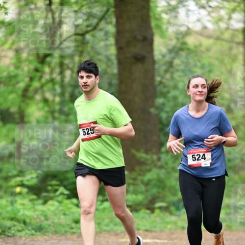 19.04.2026 - Hammer Lauf Dr. Thomas Lammeyer http://msf.ph/oto/9551913 19.04.2026 12:03:13 Laufen 525, 524 meine-sportfotos.de