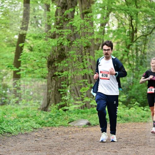 19.04.2026 - Hammer Lauf Dr. Thomas Lammeyer http://msf.ph/oto/9552050 19.04.2026 12:03:50 Laufen 636, 415 meine-sportfotos.de