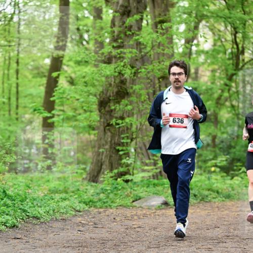 19.04.2026 - Hammer Lauf Dr. Thomas Lammeyer http://msf.ph/oto/9552053 19.04.2026 12:03:50 Laufen 636 meine-sportfotos.de