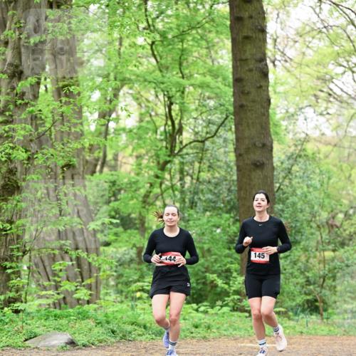 19.04.2026 - Hammer Lauf Dr. Thomas Lammeyer http://msf.ph/oto/9552068 19.04.2026 12:03:59 Laufen 145 meine-sportfotos.de