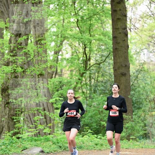 19.04.2026 - Hammer Lauf Dr. Thomas Lammeyer http://msf.ph/oto/9552071 19.04.2026 12:03:59 Laufen 145 meine-sportfotos.de