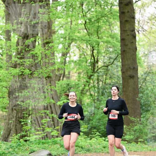 19.04.2026 - Hammer Lauf Dr. Thomas Lammeyer http://msf.ph/oto/9552072 19.04.2026 12:04:00 Laufen 145 meine-sportfotos.de
