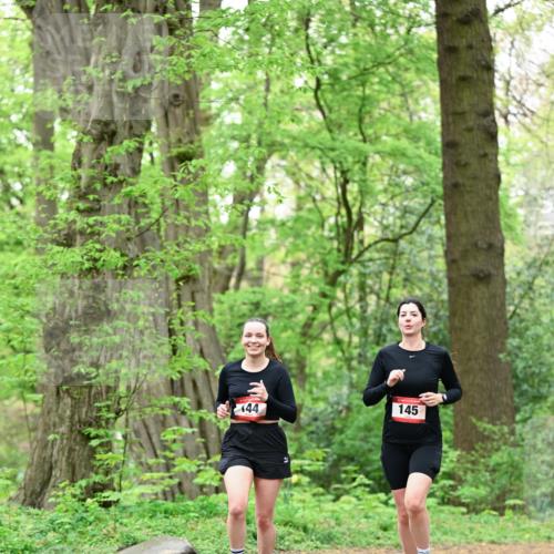 19.04.2026 - Hammer Lauf Dr. Thomas Lammeyer http://msf.ph/oto/9552074 19.04.2026 12:04:00 Laufen 145 meine-sportfotos.de