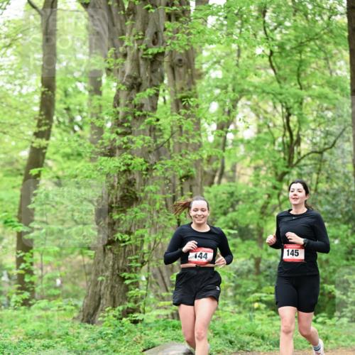 19.04.2026 - Hammer Lauf Dr. Thomas Lammeyer http://msf.ph/oto/9552078 19.04.2026 12:04:00 Laufen 145, 144 meine-sportfotos.de