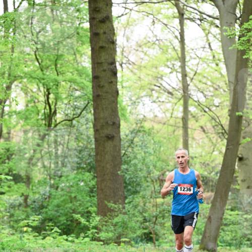 19.04.2026 - Hammer Lauf Dr. Thomas Lammeyer http://msf.ph/oto/9552118 19.04.2026 12:04:27 Laufen 1236 meine-sportfotos.de