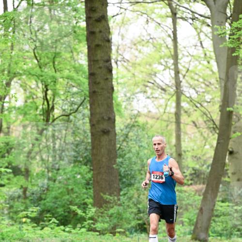 19.04.2026 - Hammer Lauf Dr. Thomas Lammeyer http://msf.ph/oto/9552122 19.04.2026 12:04:28 Laufen 1236 meine-sportfotos.de