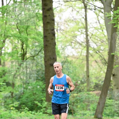 19.04.2026 - Hammer Lauf Dr. Thomas Lammeyer http://msf.ph/oto/9552128 19.04.2026 12:04:28 Laufen 1236 meine-sportfotos.de