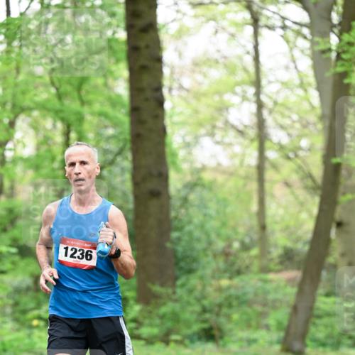 19.04.2026 - Hammer Lauf Dr. Thomas Lammeyer http://msf.ph/oto/9552136 19.04.2026 12:04:30 Laufen 1236 meine-sportfotos.de