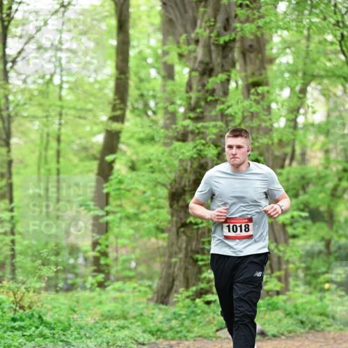 19.04.2026 - Hammer Lauf Dr. Thomas Lammeyer http://msf.ph/oto/9552150 19.04.2026 12:04:42 Laufen 1018 meine-sportfotos.de