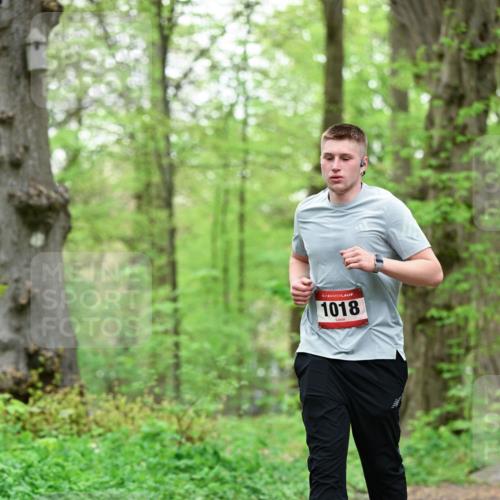 19.04.2026 - Hammer Lauf Dr. Thomas Lammeyer http://msf.ph/oto/9552159 19.04.2026 12:04:43 Laufen 1018 meine-sportfotos.de