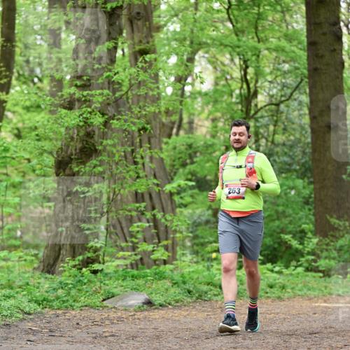 19.04.2026 - Hammer Lauf Dr. Thomas Lammeyer http://msf.ph/oto/9552175 19.04.2026 12:04:48 Laufen 263 meine-sportfotos.de