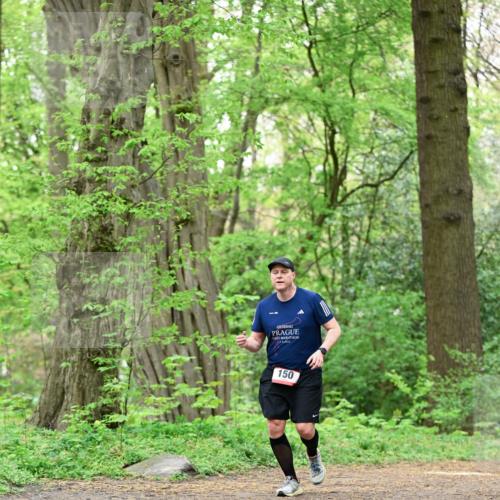 19.04.2026 - Hammer Lauf Dr. Thomas Lammeyer http://msf.ph/oto/9552243 19.04.2026 12:05:16 Laufen 150 meine-sportfotos.de