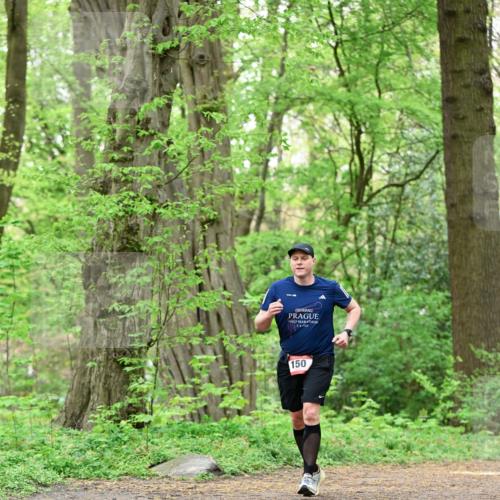 19.04.2026 - Hammer Lauf Dr. Thomas Lammeyer http://msf.ph/oto/9552244 19.04.2026 12:05:16 Laufen 150 meine-sportfotos.de