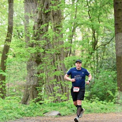 19.04.2026 - Hammer Lauf Dr. Thomas Lammeyer http://msf.ph/oto/9552245 19.04.2026 12:05:16 Laufen 5425, 150 meine-sportfotos.de