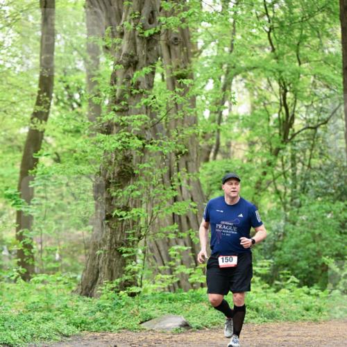 19.04.2026 - Hammer Lauf Dr. Thomas Lammeyer http://msf.ph/oto/9552246 19.04.2026 12:05:16 Laufen 2025, 150 meine-sportfotos.de