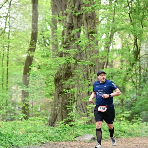19.04.2026 - Hammer Lauf Dr. Thomas Lammeyer http://msf.ph/oto/9552248 19.04.2026 12:05:17 Laufen 150 meine-sportfotos.de