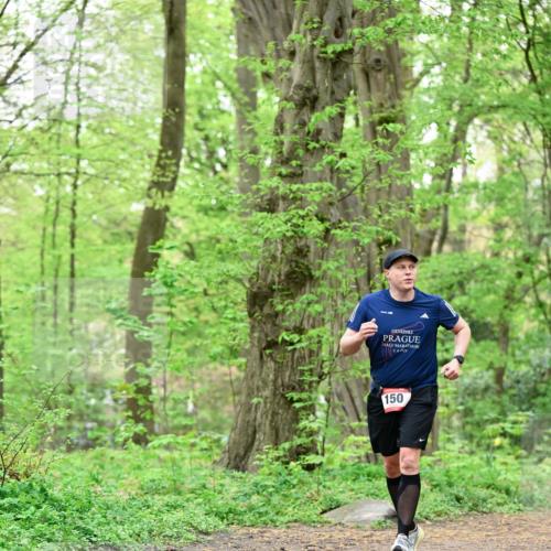 19.04.2026 - Hammer Lauf Dr. Thomas Lammeyer http://msf.ph/oto/9552250 19.04.2026 12:05:17 Laufen 150 meine-sportfotos.de