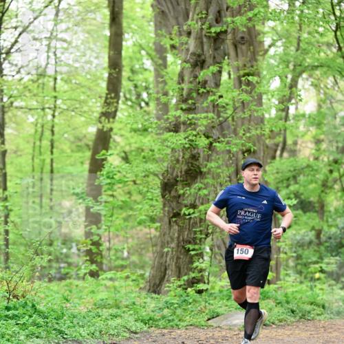 19.04.2026 - Hammer Lauf Dr. Thomas Lammeyer http://msf.ph/oto/9552251 19.04.2026 12:05:17 Laufen 150 meine-sportfotos.de
