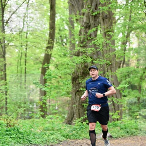 19.04.2026 - Hammer Lauf Dr. Thomas Lammeyer http://msf.ph/oto/9552253 19.04.2026 12:05:17 Laufen 150 meine-sportfotos.de