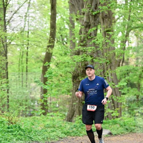 19.04.2026 - Hammer Lauf Dr. Thomas Lammeyer http://msf.ph/oto/9552256 19.04.2026 12:05:18 Laufen 2025, 150 meine-sportfotos.de