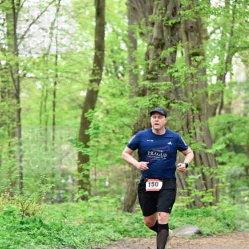 19.04.2026 - Hammer Lauf Dr. Thomas Lammeyer http://msf.ph/oto/9552257 19.04.2026 12:05:18 Laufen 2025, 150 meine-sportfotos.de