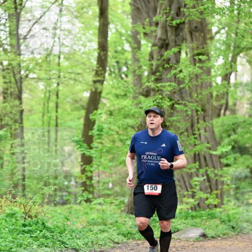 19.04.2026 - Hammer Lauf Dr. Thomas Lammeyer http://msf.ph/oto/9552258 19.04.2026 12:05:18 Laufen 2025, 150 meine-sportfotos.de