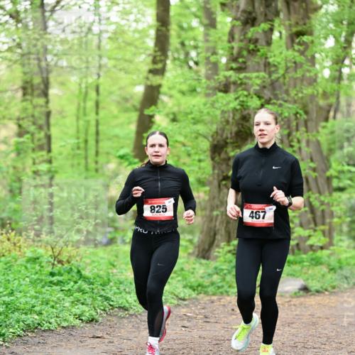 19.04.2026 - Hammer Lauf Dr. Thomas Lammeyer http://msf.ph/oto/9552324 19.04.2026 12:05:39 Laufen 161, 825, 467, 160 meine-sportfotos.de