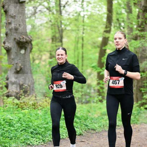 19.04.2026 - Hammer Lauf Dr. Thomas Lammeyer http://msf.ph/oto/9552332 19.04.2026 12:05:40 Laufen 925, 161, 467, 160 meine-sportfotos.de