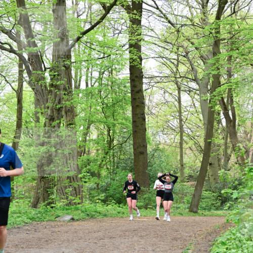19.04.2026 - Hammer Lauf Dr. Thomas Lammeyer http://msf.ph/oto/9552382 19.04.2026 12:05:54 Laufen 513, 1151 meine-sportfotos.de