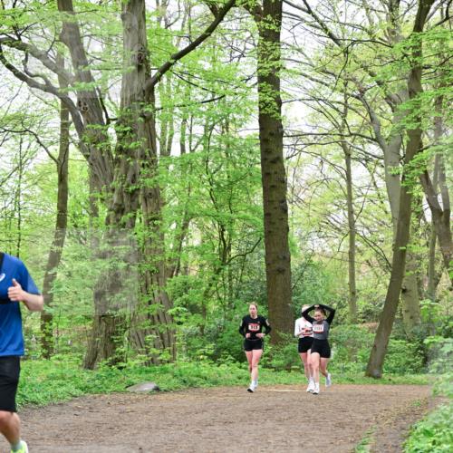 19.04.2026 - Hammer Lauf Dr. Thomas Lammeyer http://msf.ph/oto/9552384 19.04.2026 12:05:54 Laufen 513, 1151 meine-sportfotos.de