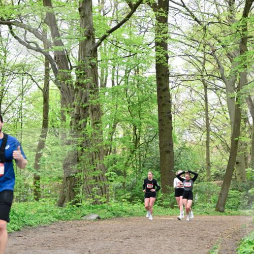 19.04.2026 - Hammer Lauf Dr. Thomas Lammeyer http://msf.ph/oto/9552385 19.04.2026 12:05:54 Laufen 513, 1151 meine-sportfotos.de