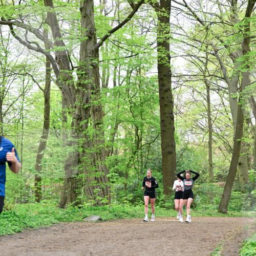 19.04.2026 - Hammer Lauf Dr. Thomas Lammeyer http://msf.ph/oto/9552386 19.04.2026 12:05:54 Laufen 1151, 514 meine-sportfotos.de