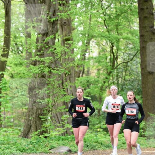 19.04.2026 - Hammer Lauf Dr. Thomas Lammeyer http://msf.ph/oto/9552388 19.04.2026 12:05:56 Laufen 513, 514, 1151 meine-sportfotos.de