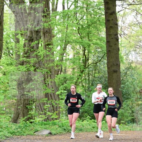 19.04.2026 - Hammer Lauf Dr. Thomas Lammeyer http://msf.ph/oto/9552391 19.04.2026 12:05:56 Laufen 513, 1151 meine-sportfotos.de