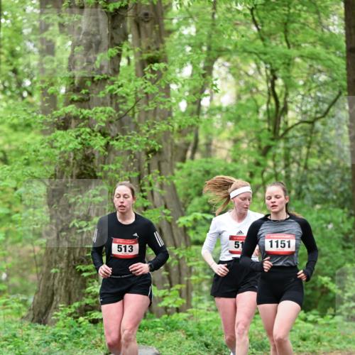 19.04.2026 - Hammer Lauf Dr. Thomas Lammeyer http://msf.ph/oto/9552399 19.04.2026 12:05:57 Laufen 513, 1151 meine-sportfotos.de