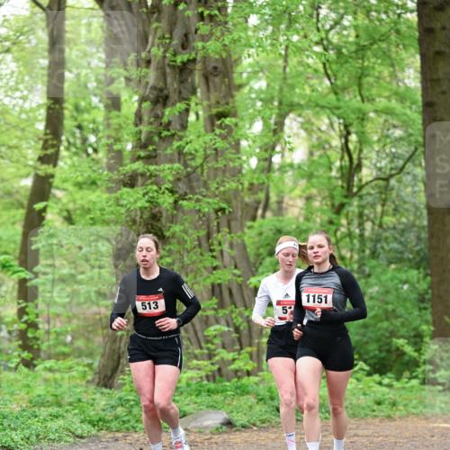 19.04.2026 - Hammer Lauf Dr. Thomas Lammeyer http://msf.ph/oto/9552400 19.04.2026 12:05:58 Laufen 513, 1151 meine-sportfotos.de